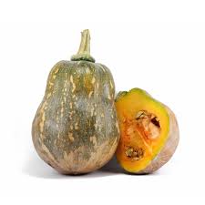 Bí đỏ